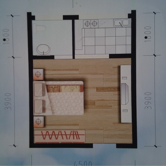 30平米的房子怎么设计?可以隔出卧室吗?