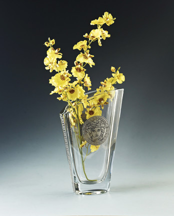 波西米亚进口versace创意水晶玻璃花瓶客厅餐