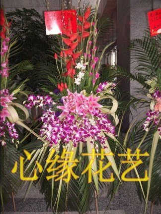 瓯海鲜花_鲜花背景图片_新娘鲜花造型(2)