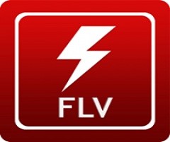 FLV Player 播放器（英文版）下载