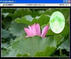 慧龙图片播放器 v0.2 中文版免费下载