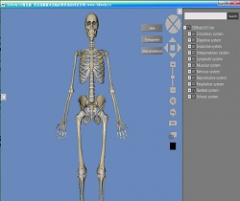 3dbody（三维人体解剖软件） v3.0 中文版下载