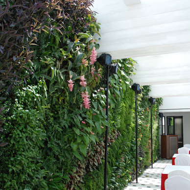 绿色生态餐厅墙面设计