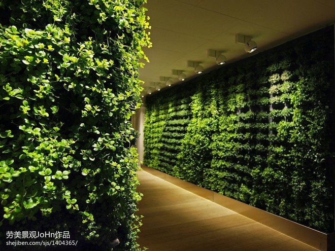plant wall_1199414