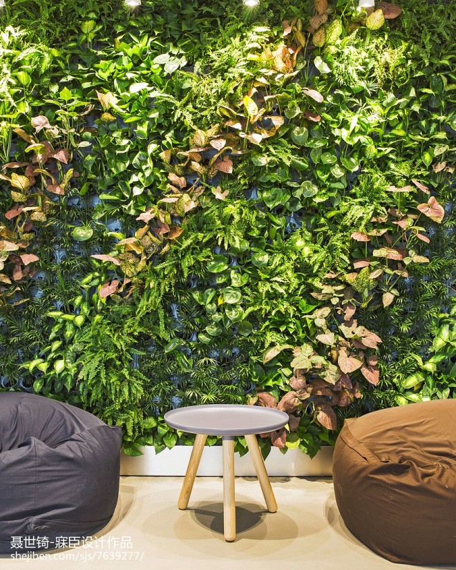 办公室休闲区植物墙设计