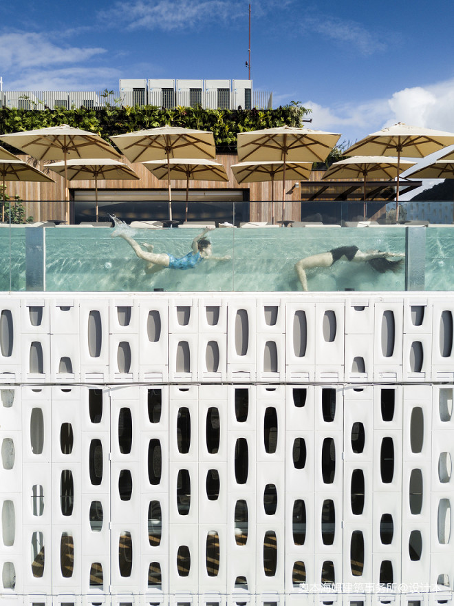 蜂窝酒店游泳池设计