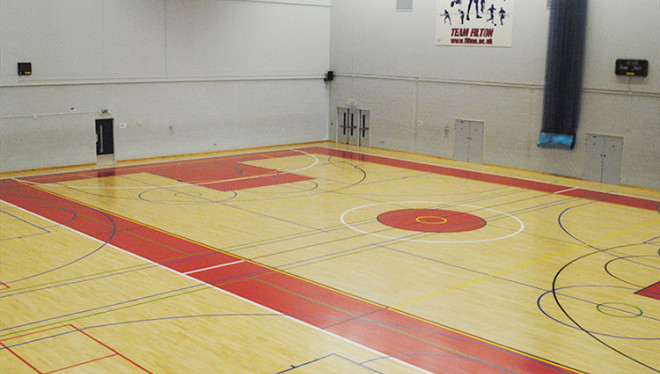 篮球场馆羽毛球馆地板定制运动木地板